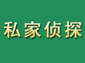 西秀市私家正规侦探